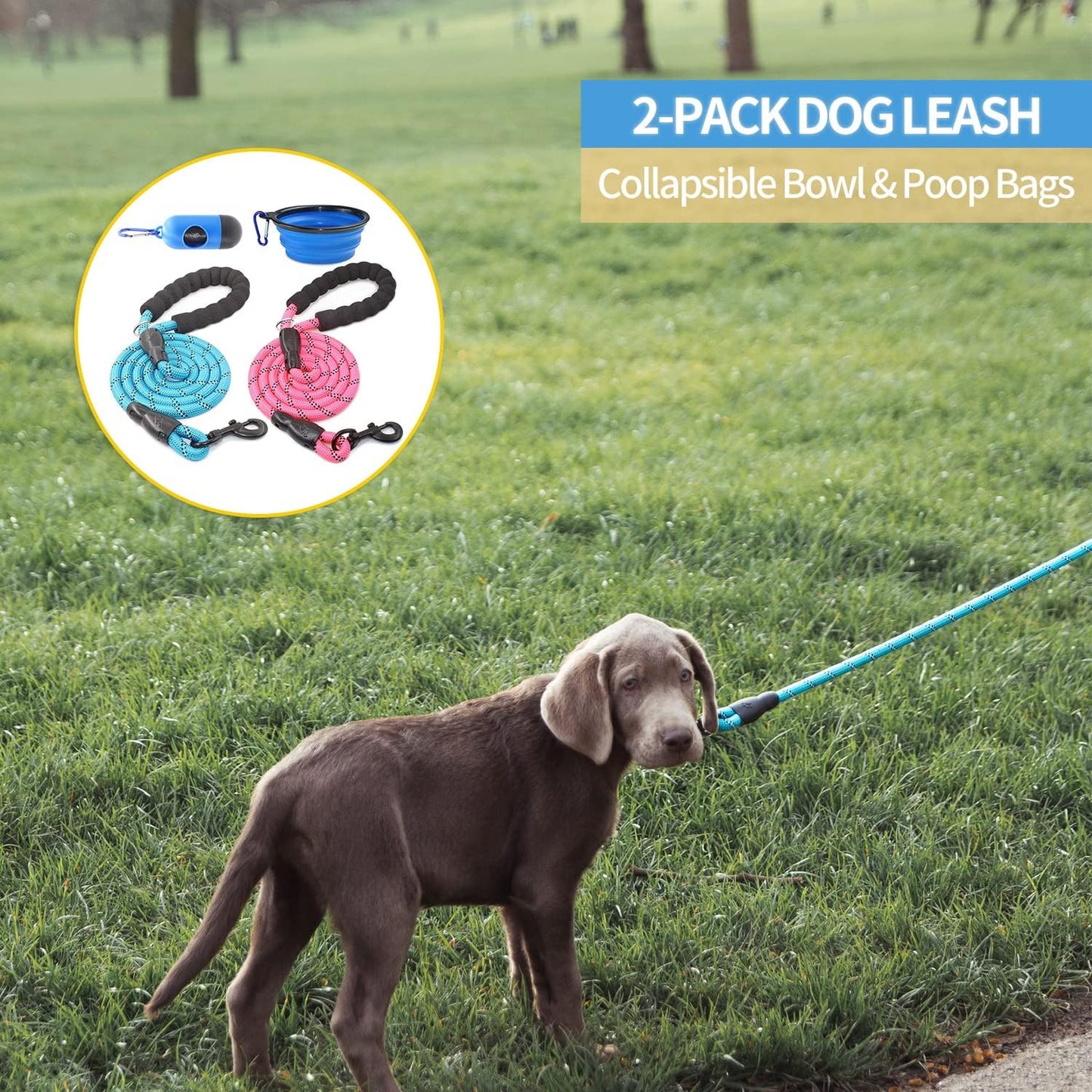2-Pack Reflective Dog Leashes – 5/6 FT with Padded Handle (Blue & Pink)