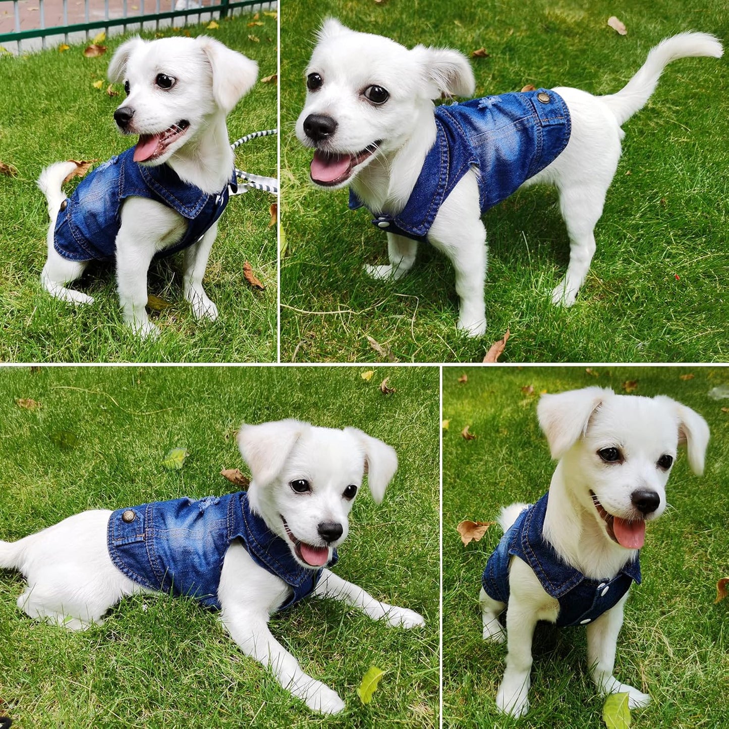 Dog Jean Jacket, Blue Puppy Denim Clothes, Lapel Vests Vintage Pet Coat Apparel, Cool Classic Cowboy Dog Shirts Outfits Costume for Small Medium Large Boy Girl Baby Doggy and Cats (S,Blue)